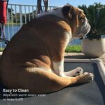 Kuranda Chewproof Elevated Pet Bed - Image 3