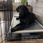 Kuranda Chewproof Elevated Crate Bed - Image 4