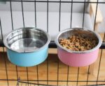 Stainless Steel Removable Pet Food Bowl - Image 4