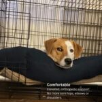 Kuranda Chewproof Elevated Crate Bed - Image 5