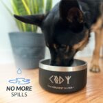 Coldest Dog Bowl - Anti Rust Metal - Image 3