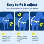 PetSafe Easy Walk Harness for Dogs - Image 3