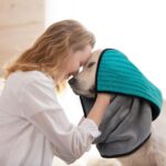 Microfiber Dog Towel & Paw Cleaner - Image 4