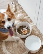 LE TAUCI Dog Bowl Set with Acacia Wood Stand - Image 2