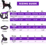 WINSEE Pet Harness Collar and Leash Set - Image 2