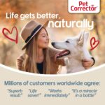 Pet Corrector Dog Trainer Twin Pack - Image 3