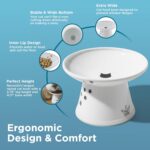 Necoichi Raised Cat Food Bowl – Ceramic Elevated Cat Bowl for Whisker & Neck Fatigue - Image 4