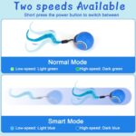 BABORUI Interactive Cat Toy Ball - Image 4