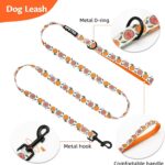 Small Dog Harness and Leash Set of 6 - Image 3