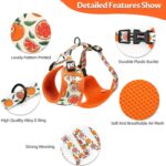 Small Dog Harness and Leash Set of 6 - Image 5