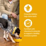 Pedigree Adult Dry Dog Food, Complete Nutrition - Image 4