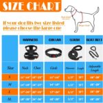 LOBEVE No Pull Dog Harness, Collar & Leash Set - Image 5