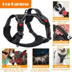 LOBEVE No Pull Dog Harness, Collar & Leash Set - Image 4