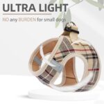 PUPTECK Adjustable Dog Harness Collar and Leash Set - Image 3