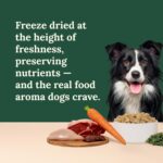 360 Pet Nutrition Freeze-Dried Raw Dog Food - Image 3