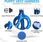 SCENEREAL Small Dog Harness and Leash Collar Set - Image 3