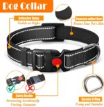 LOBEVE No Pull Dog Harness, Collar & Leash Set - Image 3