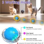 Giociv Interactive Cat Toys Ball Fast Rolling in Pouch - Image 5