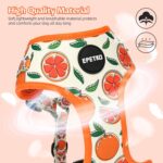 Small Dog Harness and Leash Set of 6 - Image 4