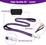 WINSEE Pet Harness Collar and Leash Set - Image 5