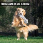 Hyper Pet Doggie Tail Interactive Plush Automatic Dog Toys - Image 4