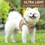 GAMUDA Small Pet Harness Collar and Leash Set - Image 4