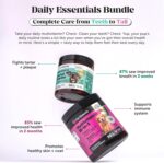 10-in-1 Dog Multivitamin Supplement - Image 4