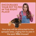 OUT! PetCare Go Here Attractant Dog and Puppy Potty Training Spray - Image 3