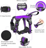 WINSEE Pet Harness Collar and Leash Set - Image 4