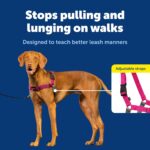 PetSafe Easy Walk Harness for Dogs - Image 4