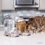 Petmate Pet Cafe Feeder Dog - Image 3