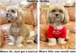 Cute Dog Clothes,Dog T Shirt for Medium Dogs - Image 3