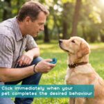 Dog Training Clicker with Sring Wrist and Keyring - Image 3