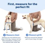 PetSafe Easy Walk Harness for Dogs - Image 2