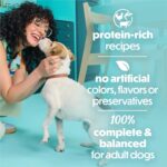 Beneful Purina Small Breed Wet Dog Food Variety Pack - Image 5
