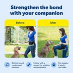 PetSafe Clik-R Training Tool - Positive Behavior Reinforcement - Image 5