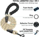 haapaw Dog Harness with Leash Set - Image 4