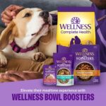 Wellness Bowl Boosters Simply Shreds Variety Pack Wet Dog Food - Image 3