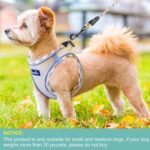 haapaw Dog Harness with Leash Set - Image 3