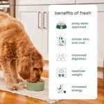 Freshpet Dog Food, Multi-Protein Complete Meal, Chicken - Image 4