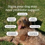 PetLab Co. Probiotics for Dogs, Support Gut Health - Image 4