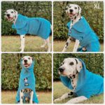 Tuff Pupper Fast Drying Dog Bath Robe - Image 4