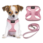 YIMEIS Dog Harness and Leash Set
