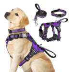 WINSEE Pet Harness Collar and Leash Set