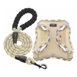 haapaw Dog Harness with Leash Set