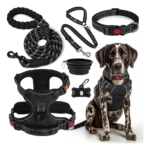 LOBEVE No Pull Dog Harness, Collar & Leash Set