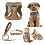 GAMUDA Small Pet Harness Collar and Leash Set