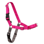 PetSafe Easy Walk Harness for Dogs