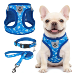SCENEREAL Small Dog Harness and Leash Collar Set