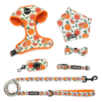 Small Dog Harness and Leash Set of 6